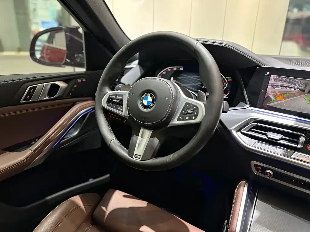BMW X6 2020 xDrive30i M Sport
