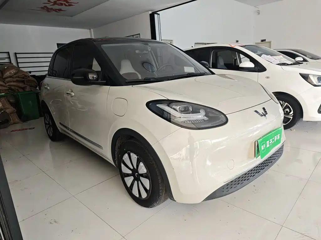 Wuling Binguo 2024 333km Enjoy