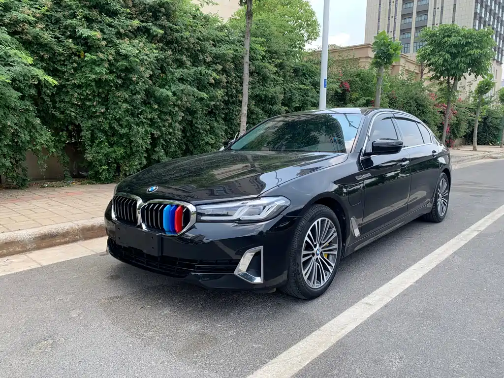 BMW 5 Series New Energy 2022