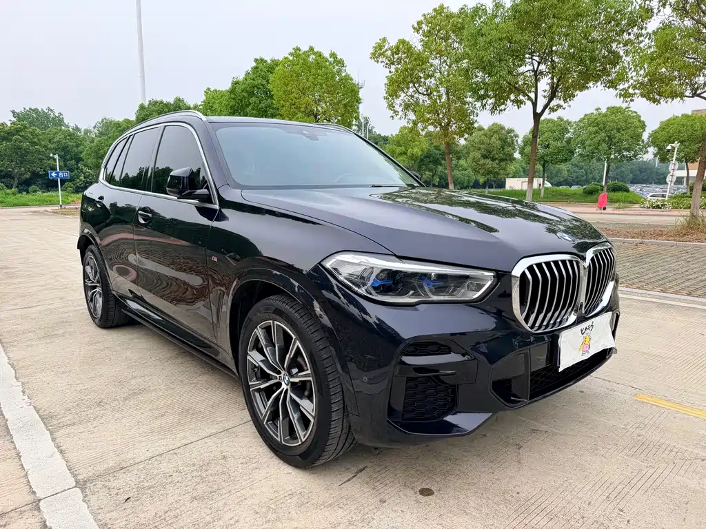 BMW X5 2022 xDrive 30Li M Sport