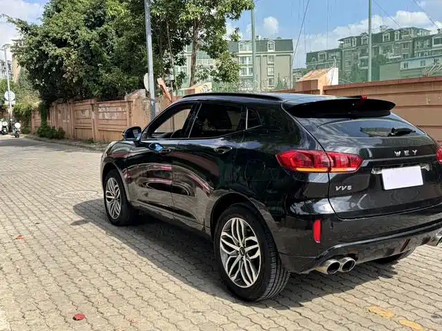 Wey Wey VV5 — миниатюра 12