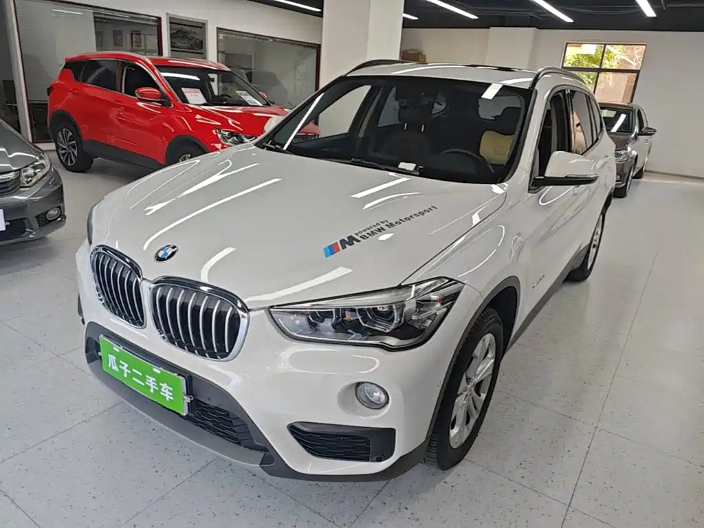 BMW X1 — миниатюра 2