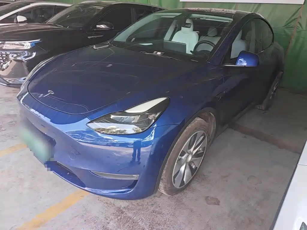 Tesla Model Y — миниатюра 2