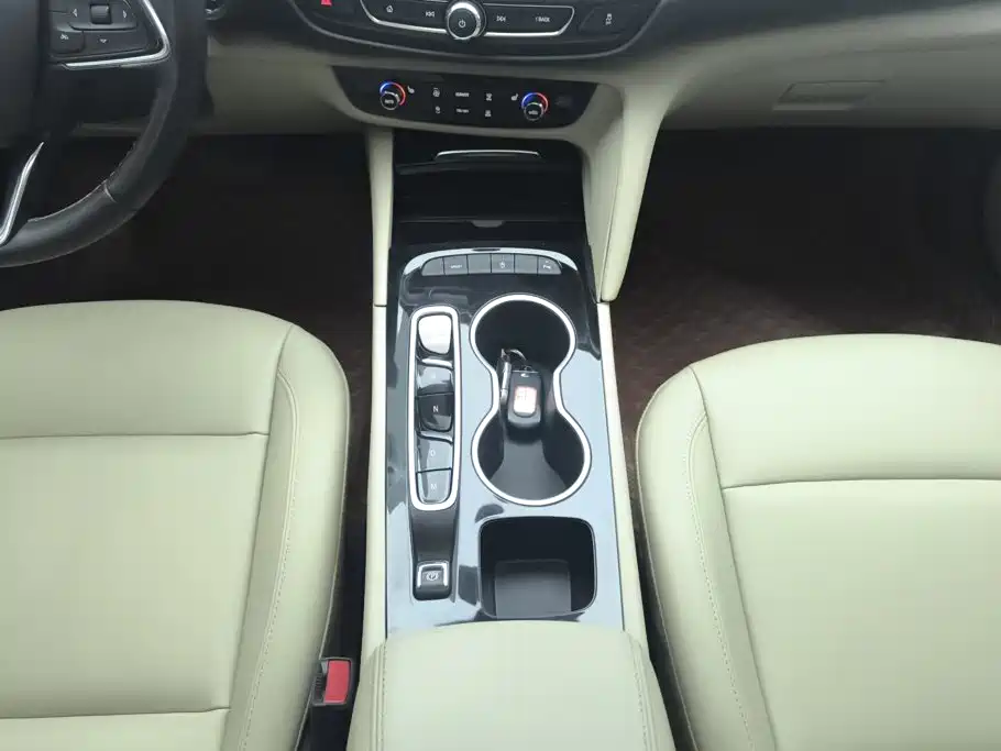 Buick Regal — миниатюра 16