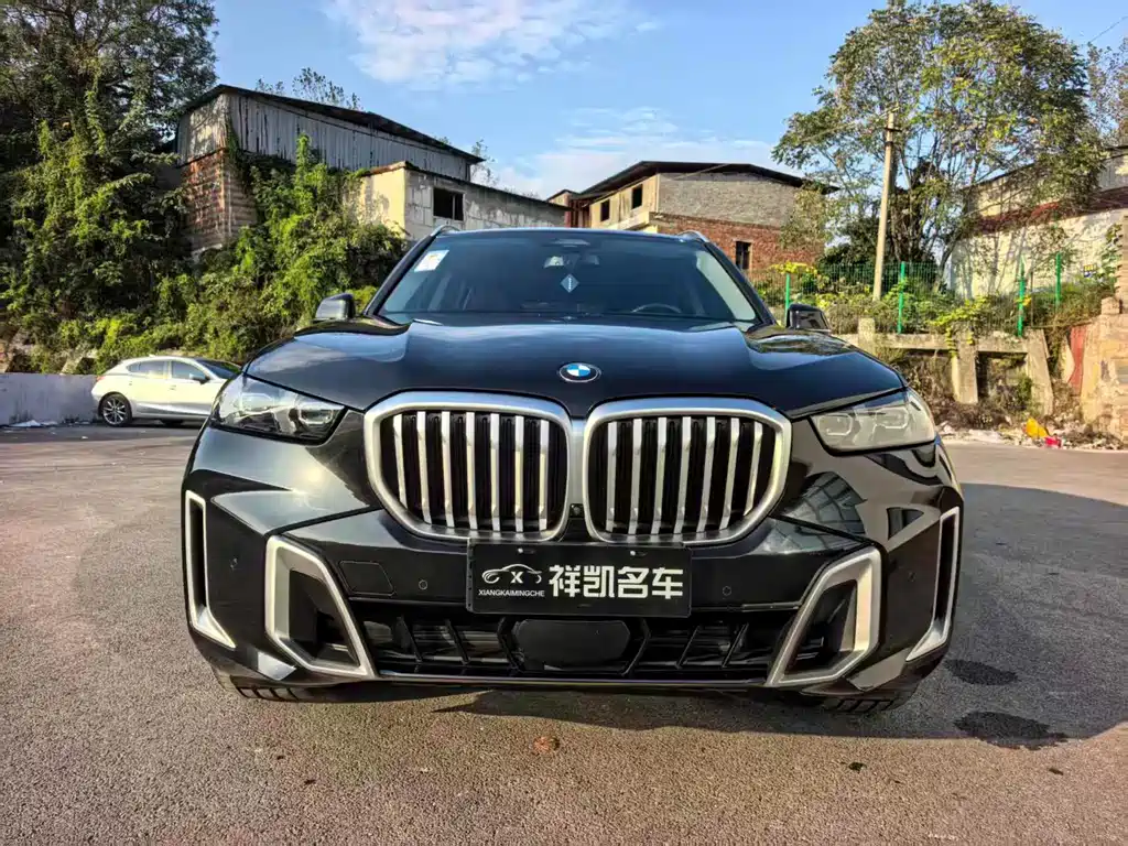 BMW X5 — миниатюра 2