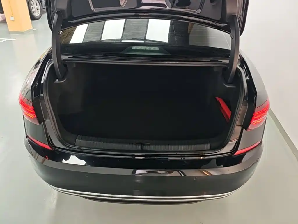 Volkswagen Passat — миниатюра 19
