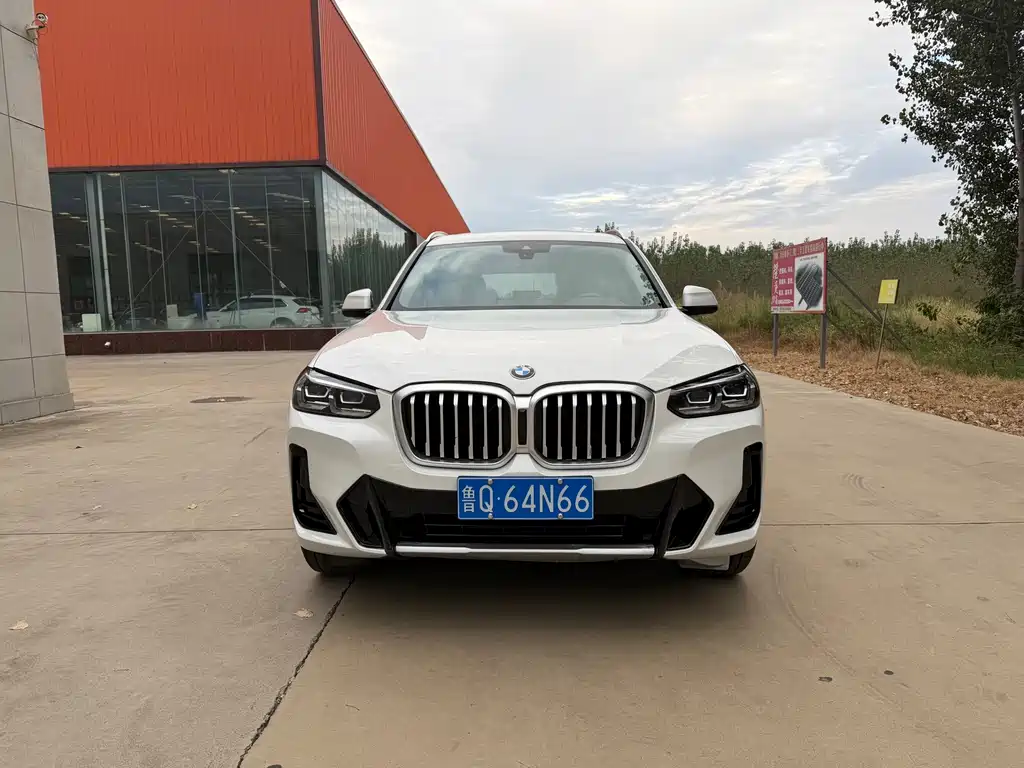 BMW X3 — миниатюра 2