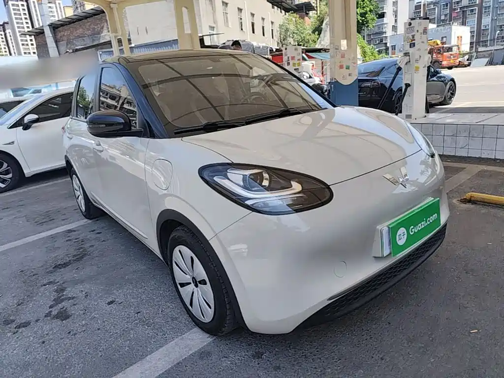 Wuling Binguo 2023 333km