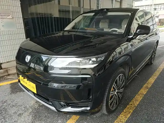 2025 Denza N9