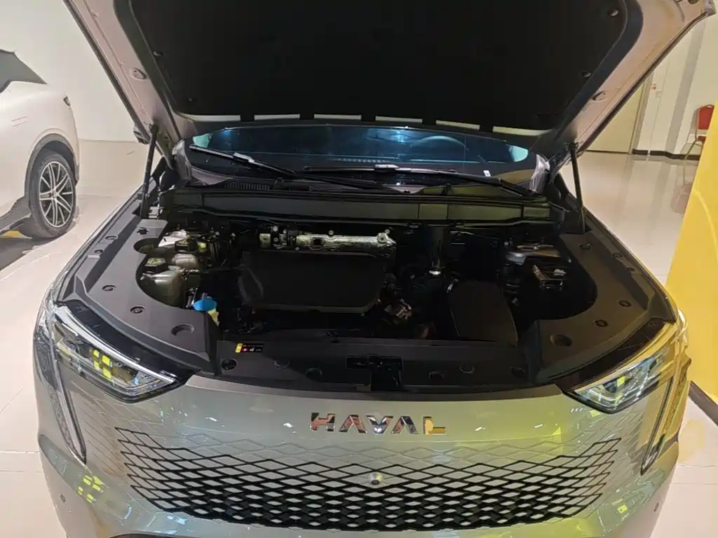 Haval Xiaolong MAX — миниатюра 20