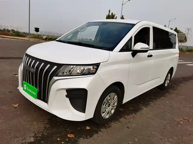 BAW RUISHENG ACE M7 2024