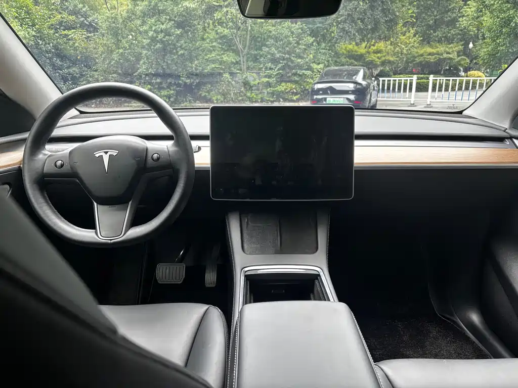 Tesla Model Y — миниатюра 15