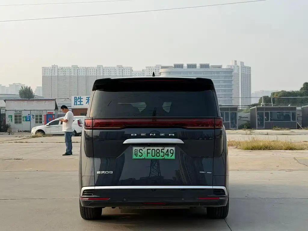 Denza Denza D9 — миниатюра 8