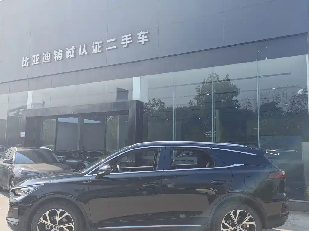 BYD Tang New Energy — миниатюра 3
