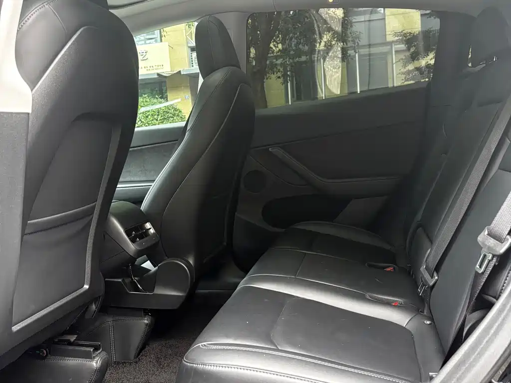 Tesla Model Y — миниатюра 12