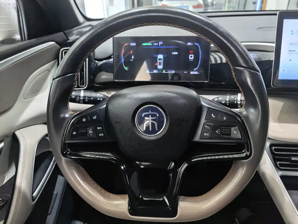 BYD Pro New Energy — миниатюра 9