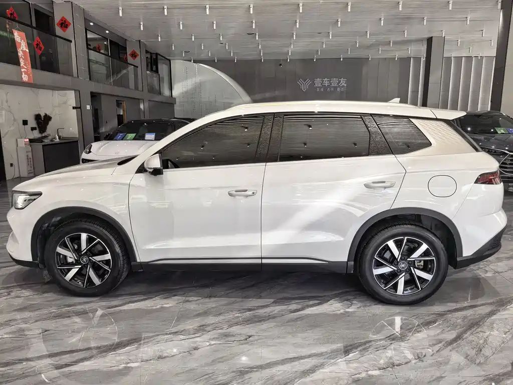 BYD Pro New Energy — миниатюра 4