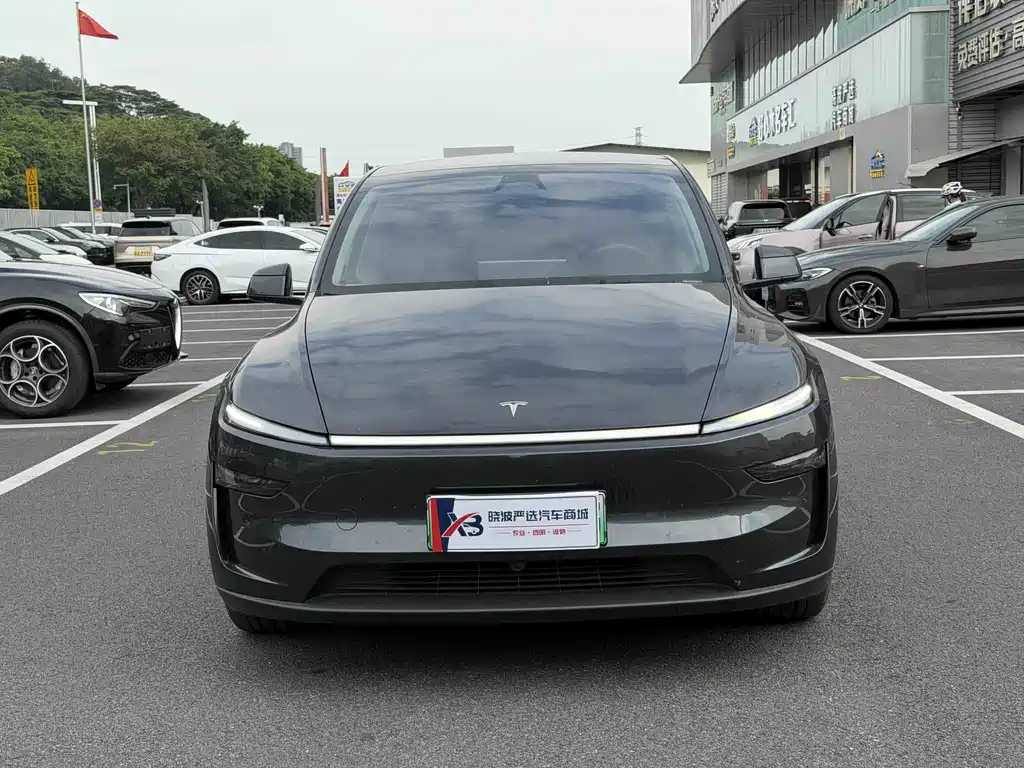 Tesla Model Y — миниатюра 2