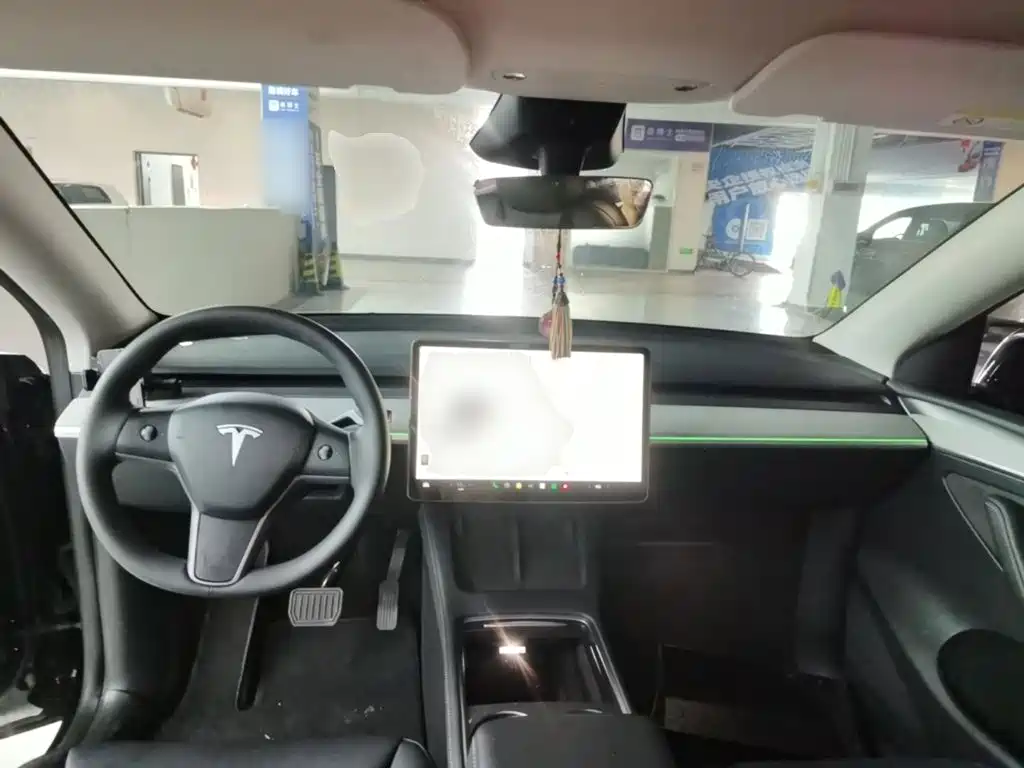 Tesla Model Y — миниатюра 10