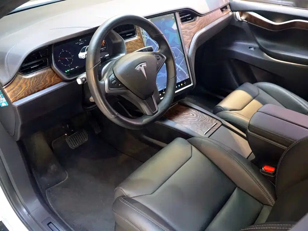 Tesla Model X 2017 Model X 100D