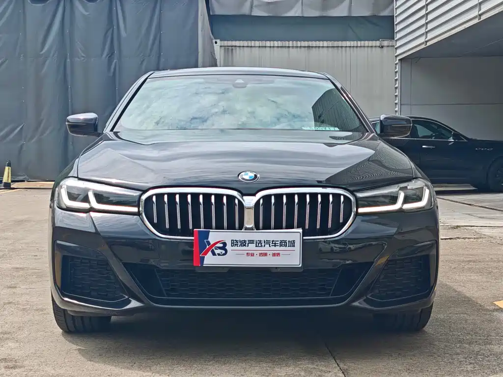 BMW 5 Series — миниатюра 2