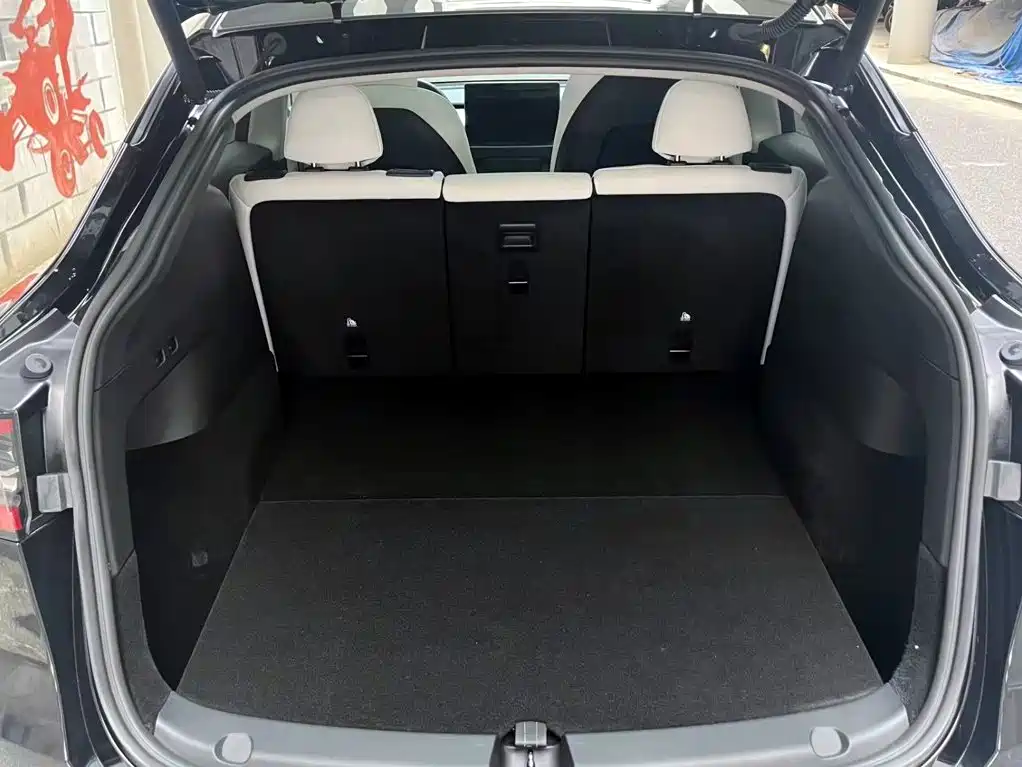 Tesla Model Y — миниатюра 8