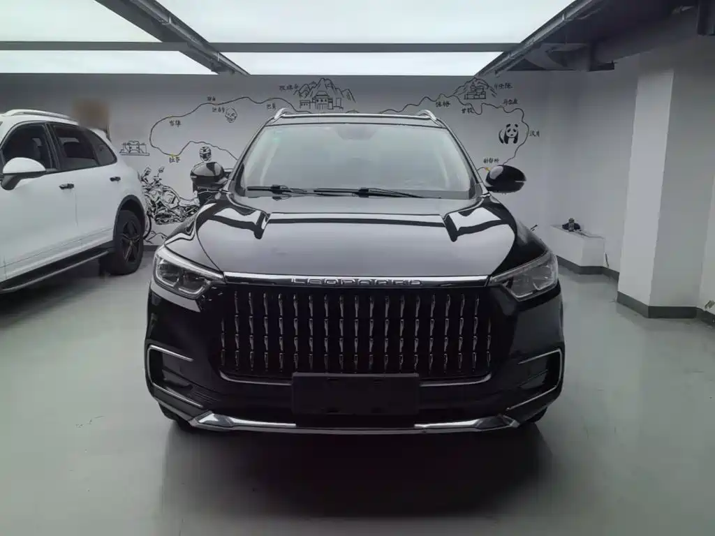 Leopaard Mattu — миниатюра 3