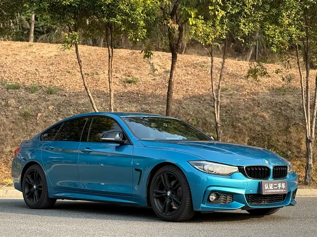BMW 4 SERIES