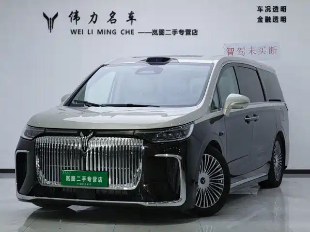 2024 Voyah Dream