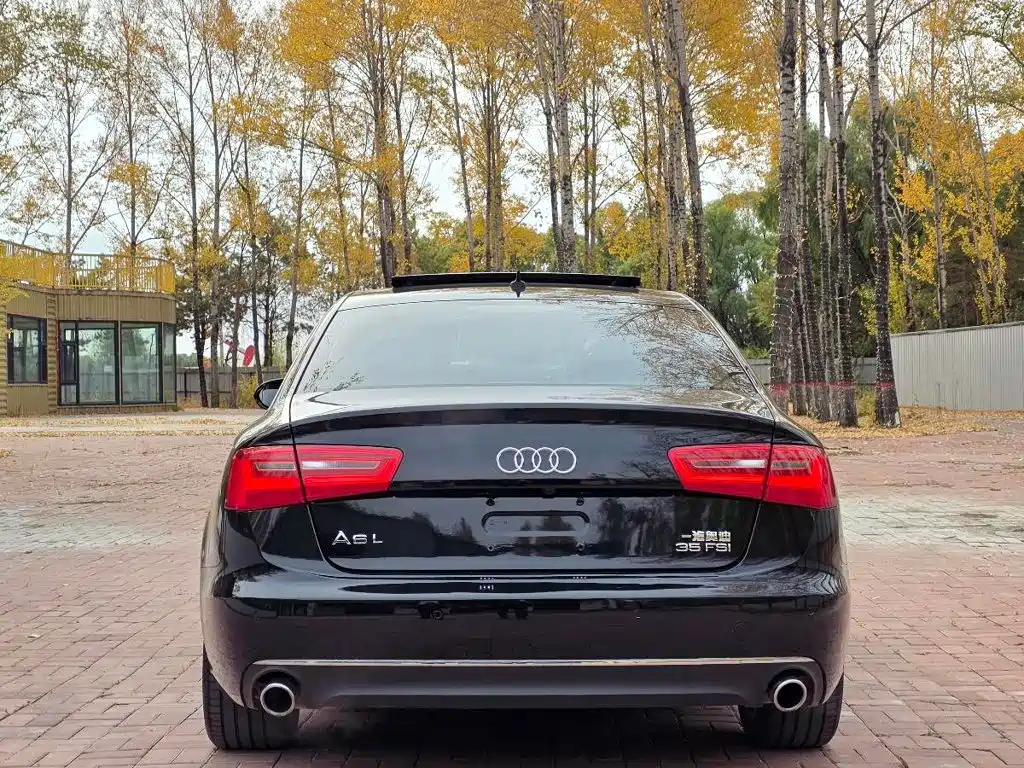 Audi A6L — миниатюра 15