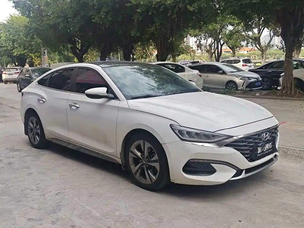 Hyundai Fista — миниатюра 2