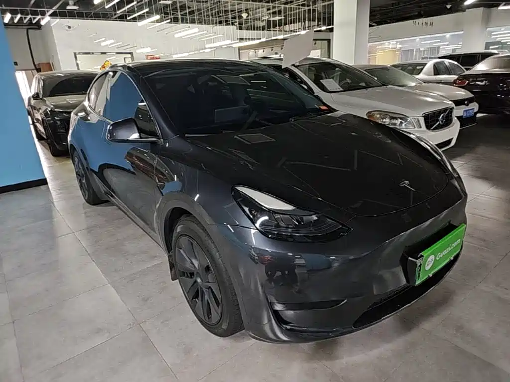 Tesla Model Y — миниатюра 4
