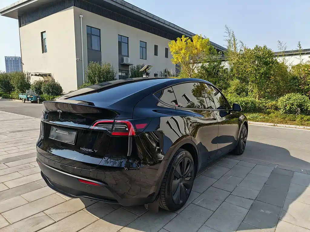 Tesla Model Y — миниатюра 11