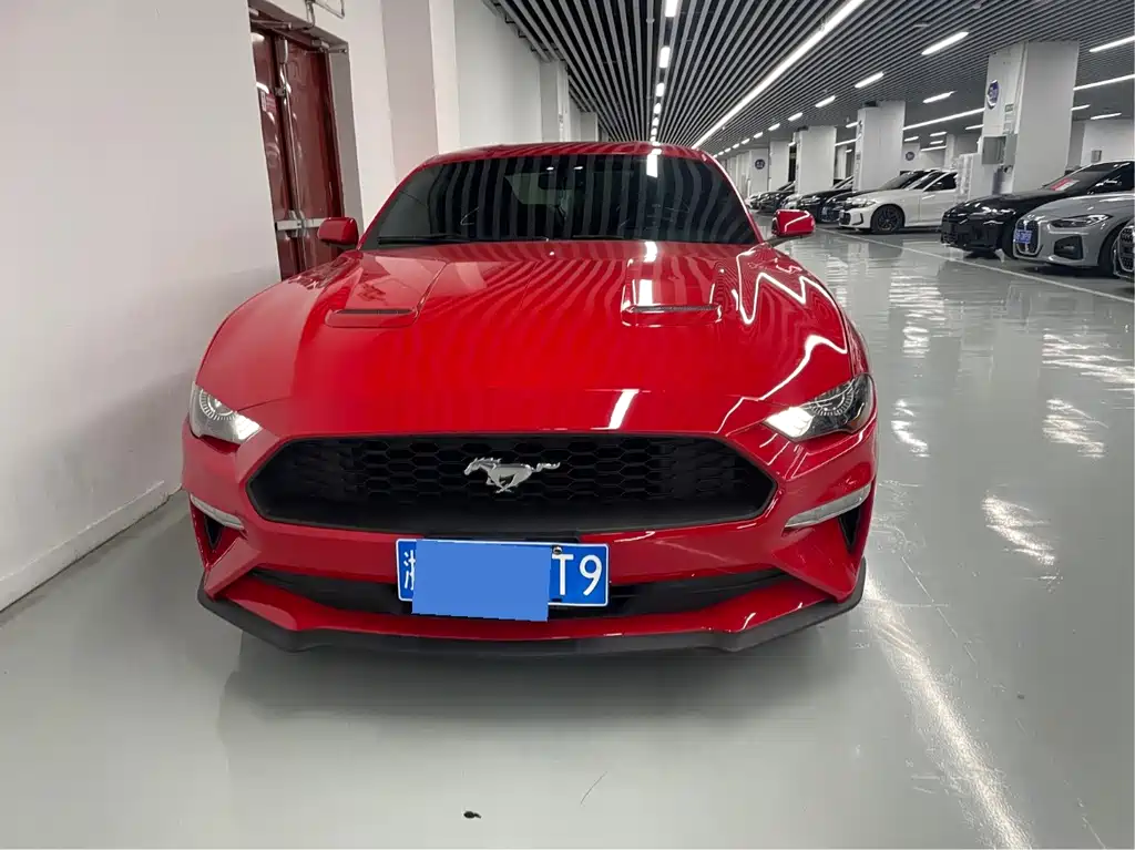 Ford Mustang — миниатюра 16