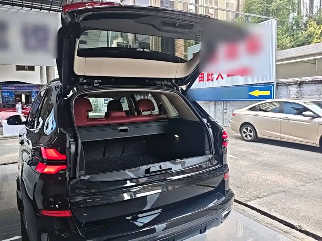 BMW X5 — миниатюра 19