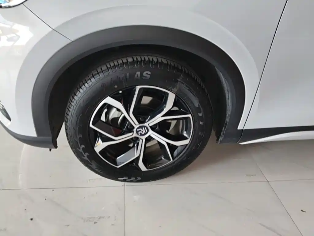 BYD Yuan Plus — миниатюра 23