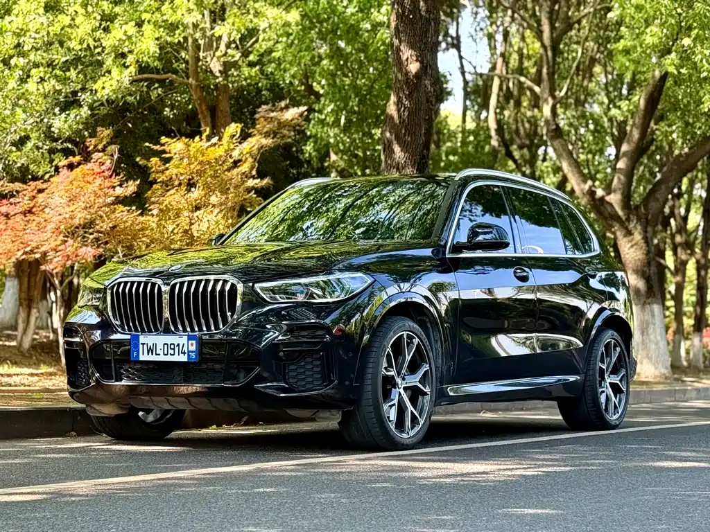 BMW X5 2023
