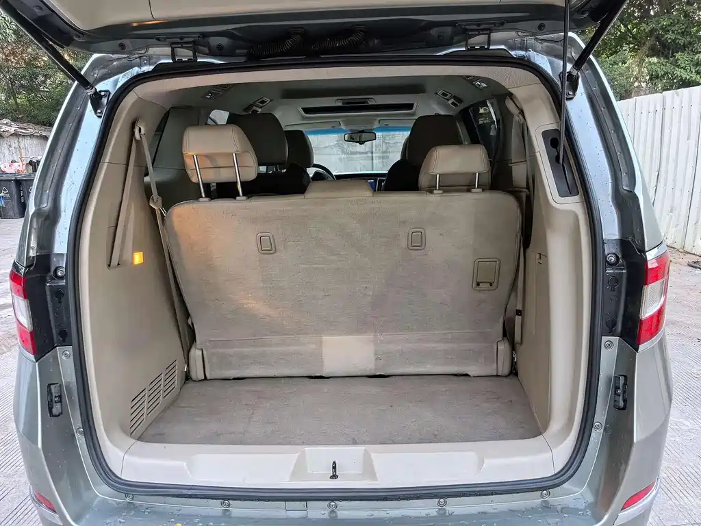 Buick GL8 — миниатюра 18
