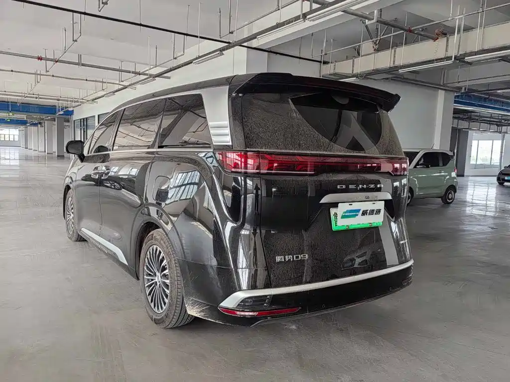 Denza Denza D9 — миниатюра 4