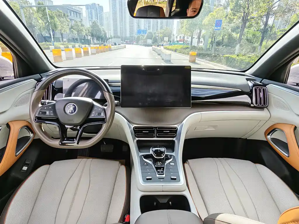 BYD Pro New Energy — миниатюра 6