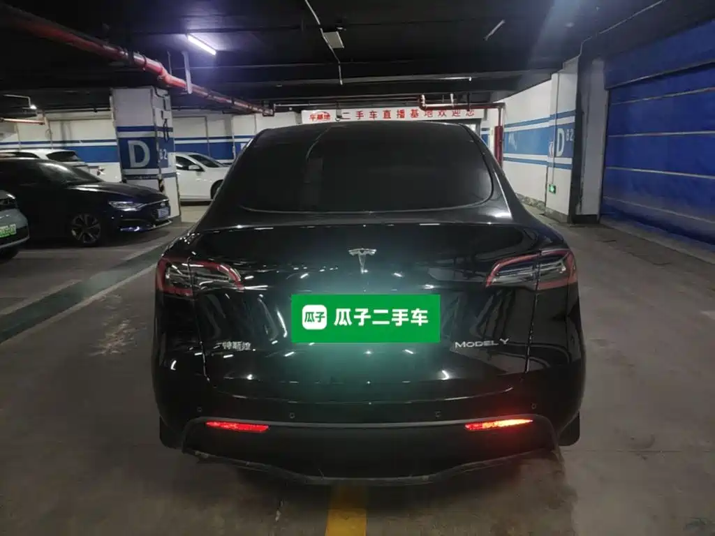 Tesla Model Y — миниатюра 6