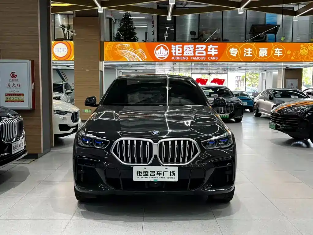 BMW X6 — миниатюра 15