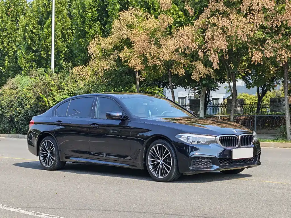 BMW 5 Series — миниатюра 3