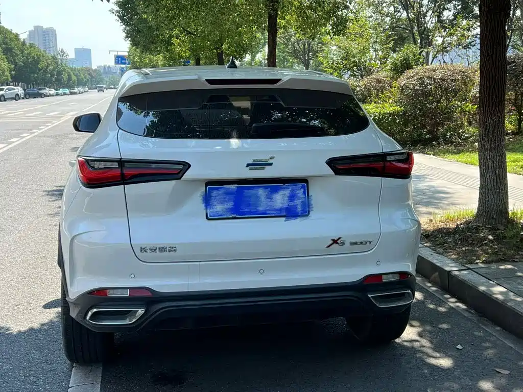 Oshan Oushang X5 — миниатюра 4