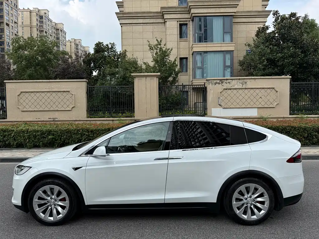 Tesla Model X — миниатюра 12