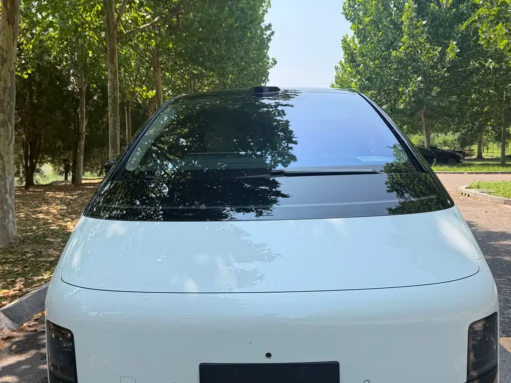 Li Auto MEGA 2025 Home