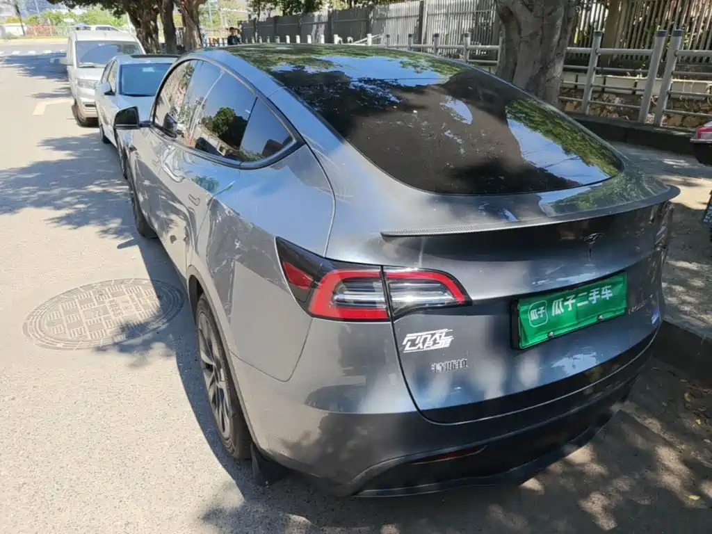Tesla Model Y — миниатюра 5