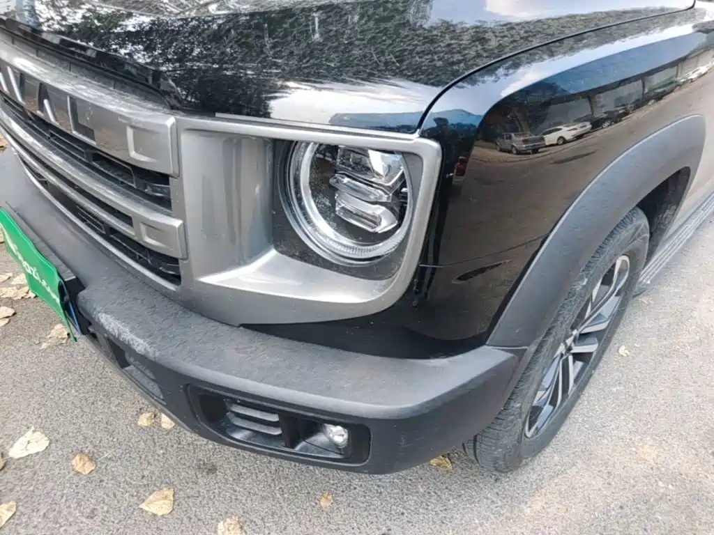 Haval Big Dog — миниатюра 24