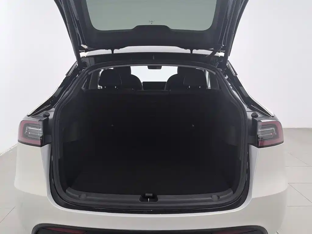 Tesla Model Y — миниатюра 16