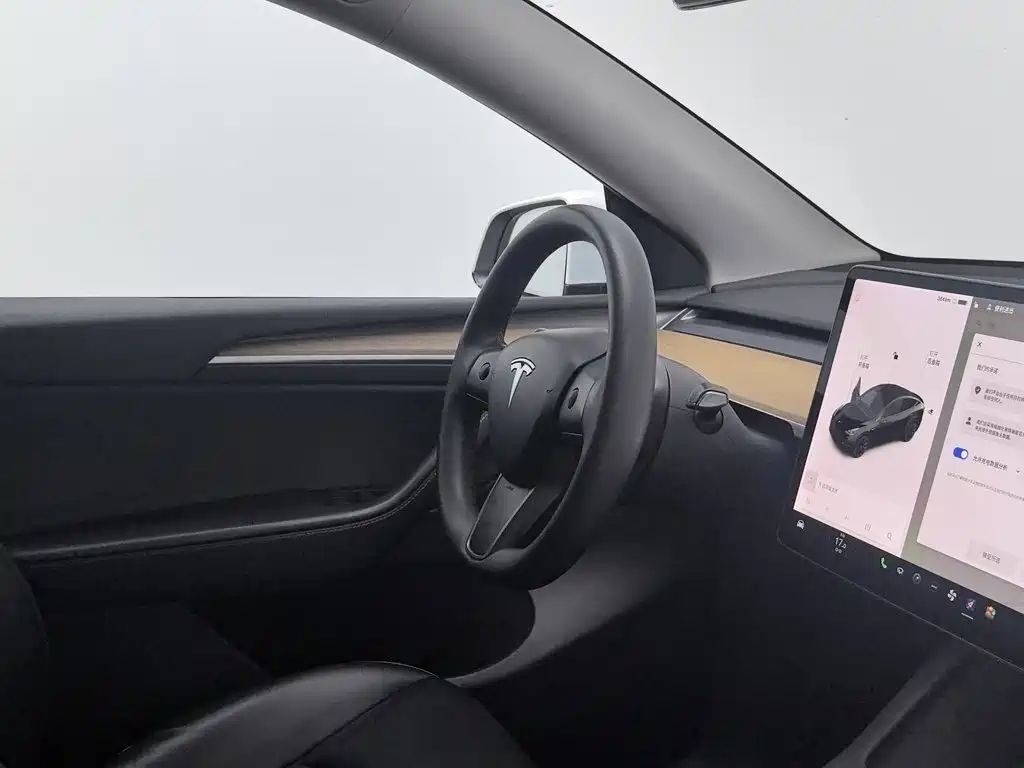 Tesla Model Y — миниатюра 22